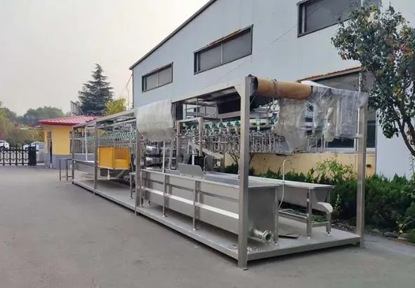 Chicken Feather Plucker Machine Hygienic Stainless Steel Finish