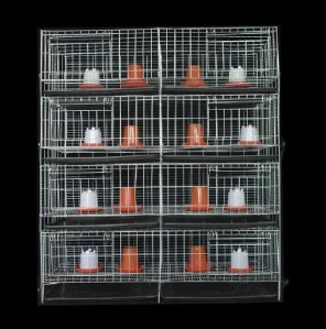 Chick Brooding Cage Solutions: Nurturing Healthy Hatchlings with Specialized Design