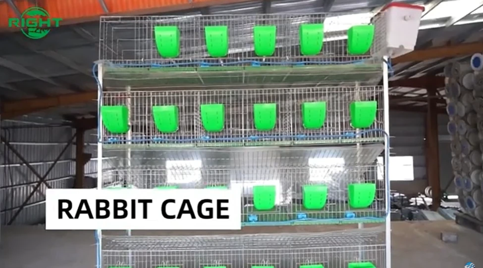 Multi-Layer Rabbit Cage Systems