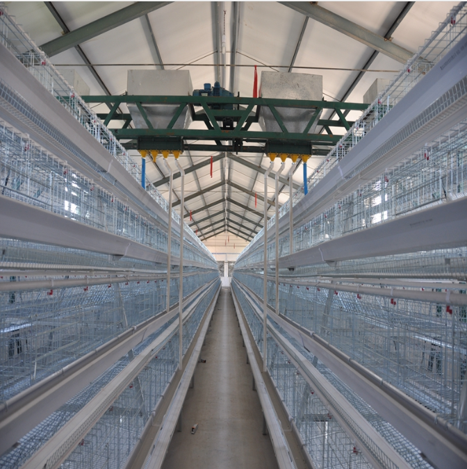 Layer Chicken Battery Cages and Broiler Cage Solutions