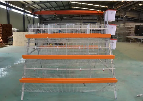 Chicken Layer Cages: Optimizing Design for Poultry Farming Efficiency