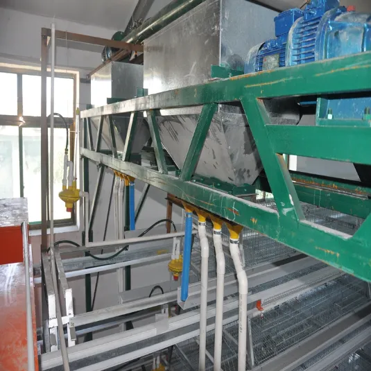 Poultry Breeding and Layer Cages: Optimizing Design for Health and Productivity