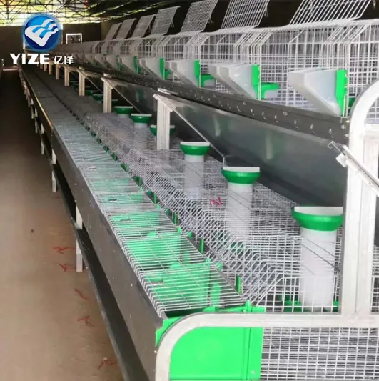 Rabbit Cages Unveiled: Innovations in Design for Modern Rabbit Farming