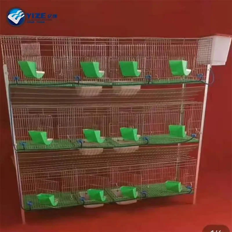 Efficient Rabbit Cages for Better Breeding