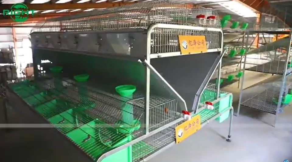 Modern Design Industrial Breeding Rabbit Cages