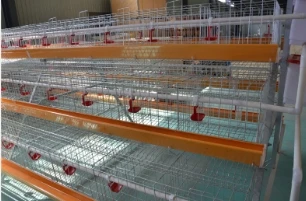 Chick Cage Solutions: Nurturing Young Poultry with Safe and Functional Design