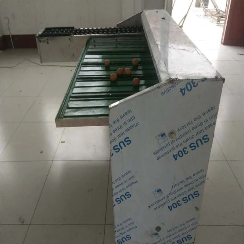 Key Components of an Industrial Egg Grading Machine