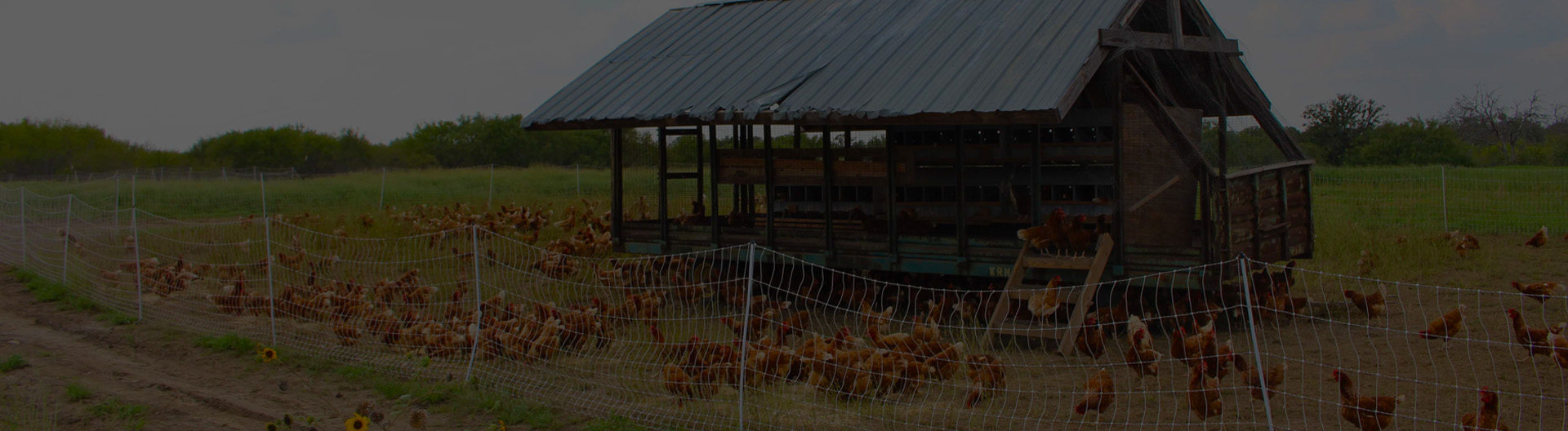 Choosing the Right External Exhaust Fan for Your Needs Choosing the Right External Exhaust Fan for Your Needs