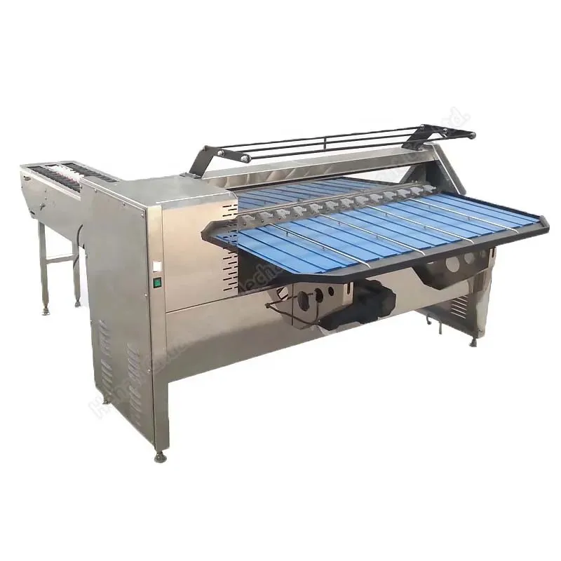 Labor Cost Savings with Automated Egg Grading Machines