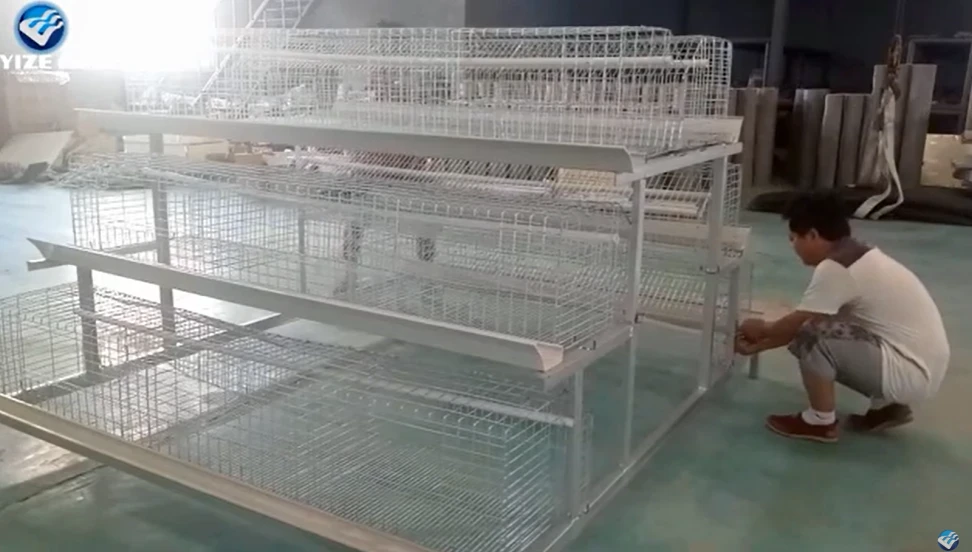 How to Install Your Chicken Layer Cage for Poultry System