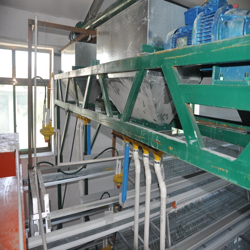 Essential Solutions for Poultry Farming Efficiency