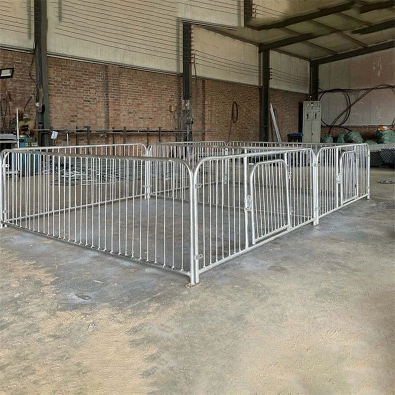 Optimizing Pig Fattening Pen Layouts for Enhanced Farm Productivity