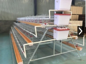 Chicken Layer Cages: Optimizing Design for Poultry Farming Efficiency