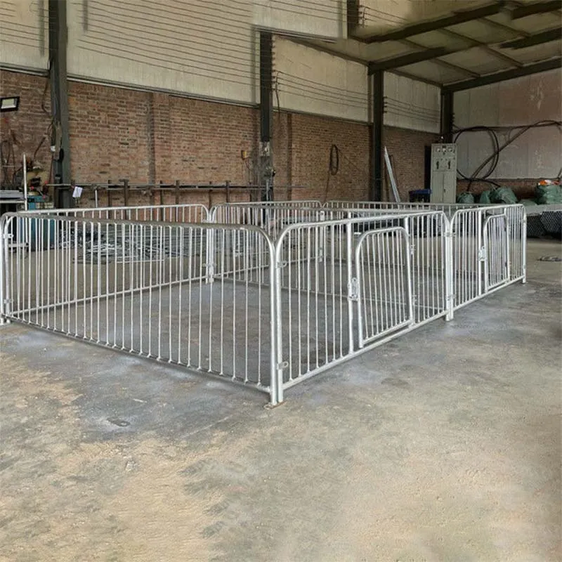 Optimizing Pig Fattening Pen Layouts for Enhanced Farm Productivity