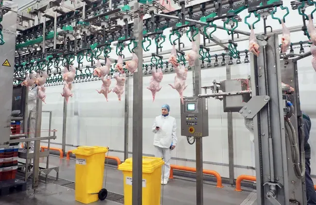 3_202312041154131409 (1)