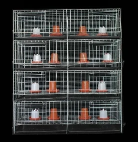 Chicken Transport and Wire Cages: Essential Solutions for Poultry Management
