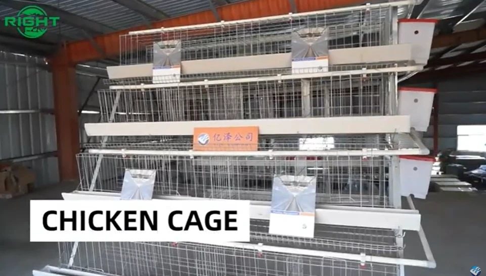 Essential Layer Chicken Cages Components