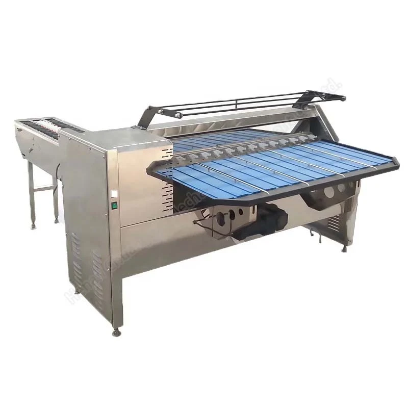 Output Capacity of an Egg Grading Machine