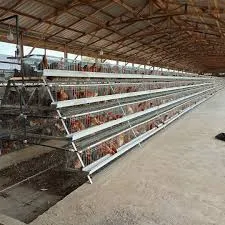 small scale egg grading machine