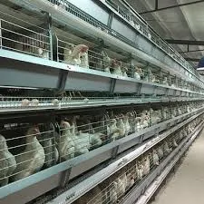 Designing Efficient Spaces for Chicken Housing and Management Solutions