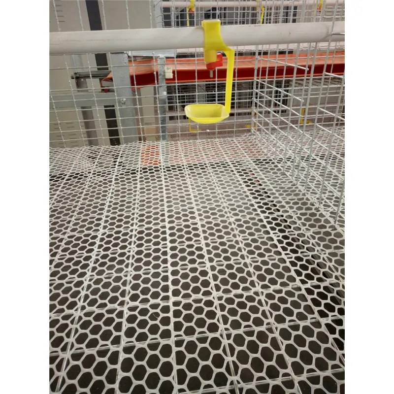 layer poultry cages for sale