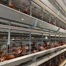 Sow Gestation Pen 