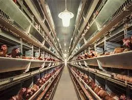 Floating feed production machine for aquatic animals that promote efficient food intake.