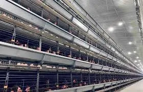 smart chicken coop