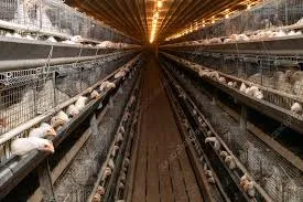 Efficient Animal Feed Pellet Production Machines for Livestock Nutrition