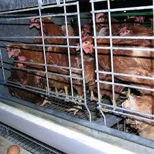 animal feed pellet making machines animal feed pellet making machines