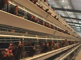 Efficient Chicken Layer Cages for Optimal Poultry Production and Management Solutions