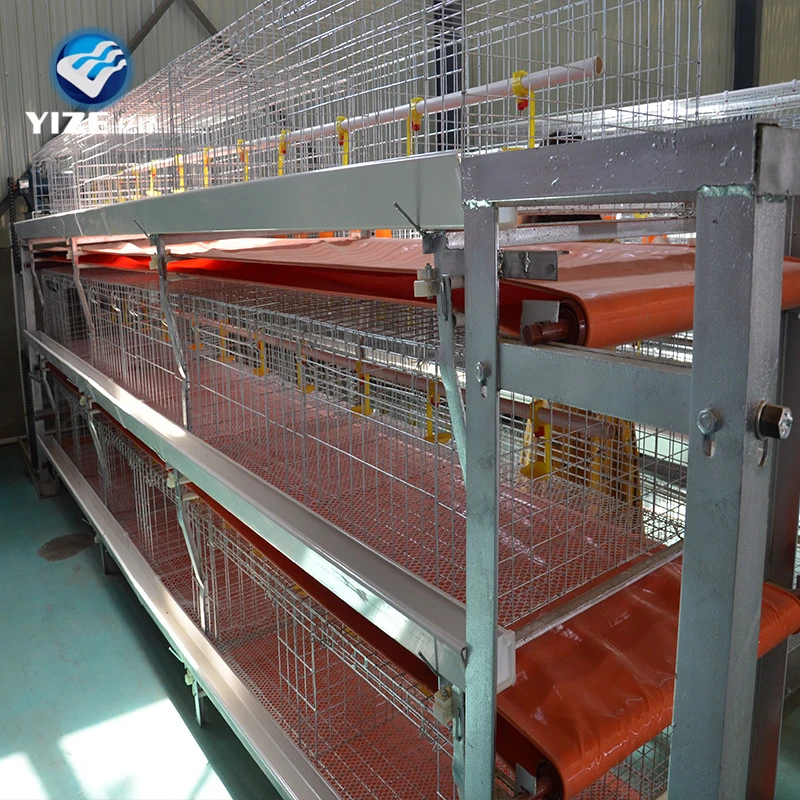 H type  3 or 4 tiers broiler chicken cage