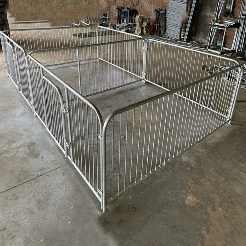 Exploring the Life and Habits of Pigs in Their Pen