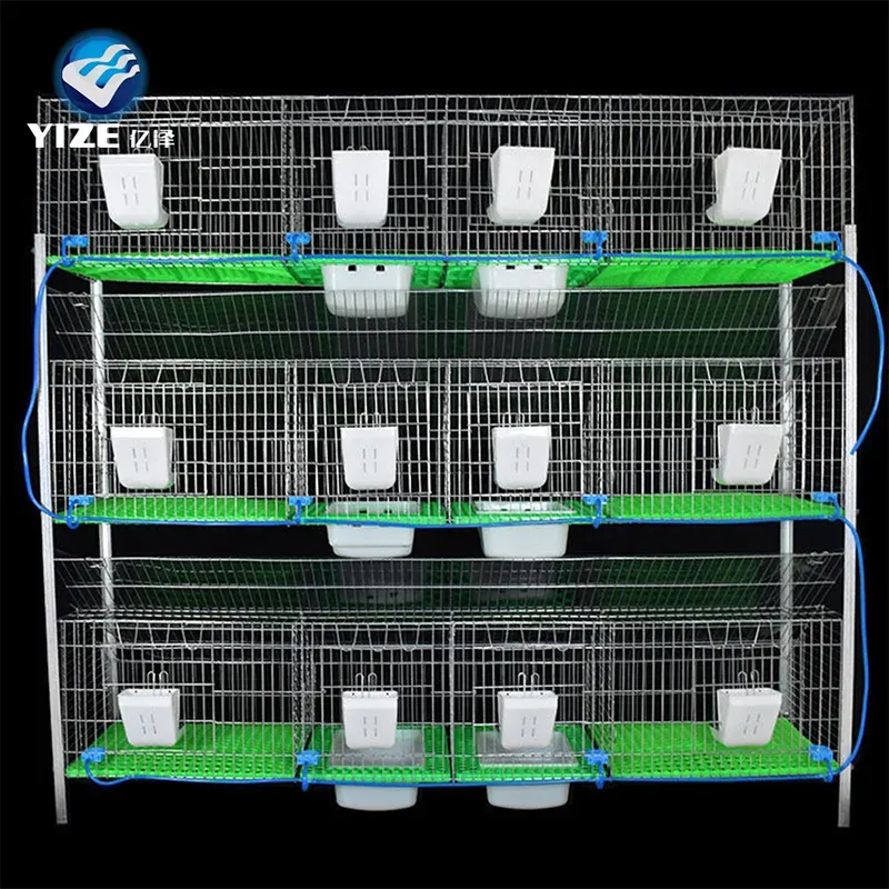 Innovative Poultry Cages Designed Specifically for Efficient Broiler Farming