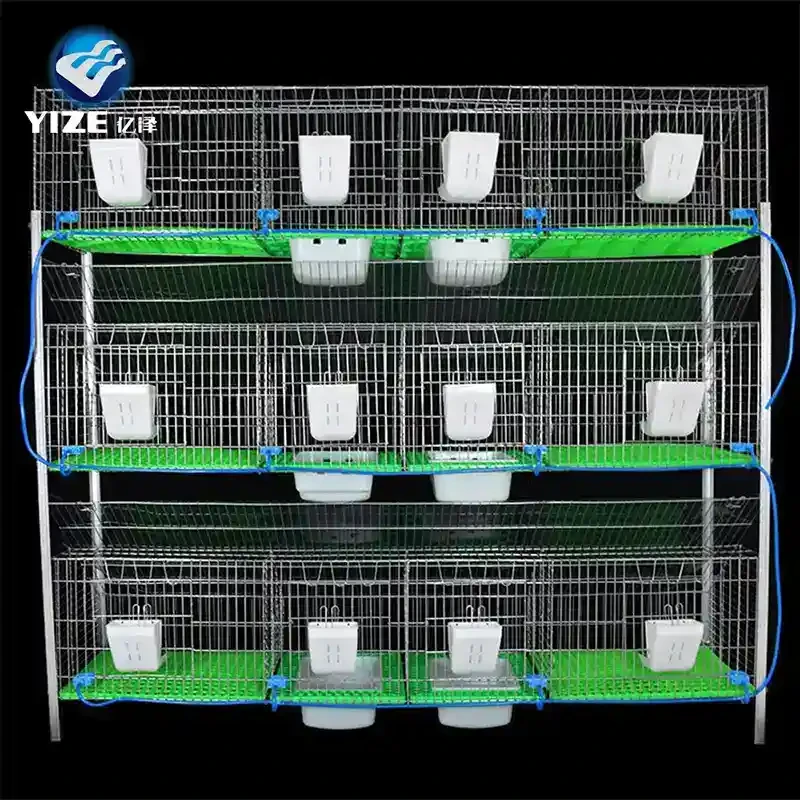 Efficient Vacuum Sealing Equipment for Preserving Food and Extending Shelf Life