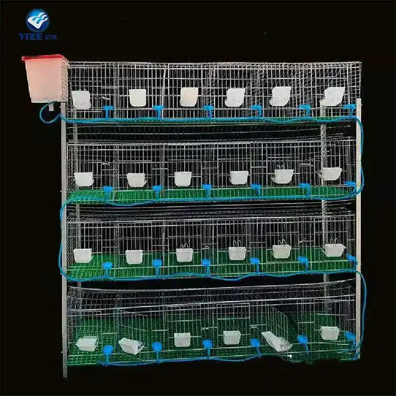 Innovative Designs for Efficient Broiler Cage Systems in Poultry Farming