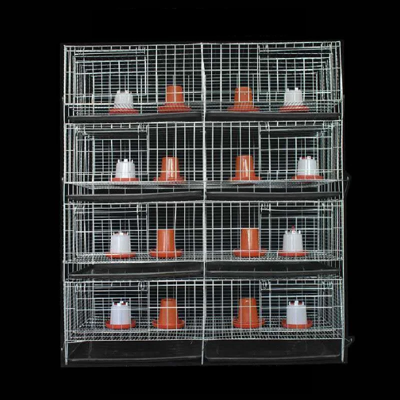 Poultry Breeding Cage, Feed Processing Machine, Layer Chicken Cage