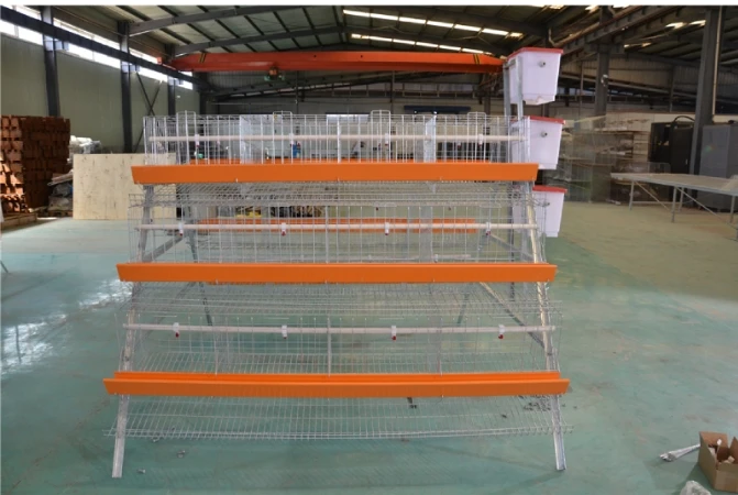 Poultry Cages: The Ideal Solution for a Safe and Hygienic Chicken Farm
