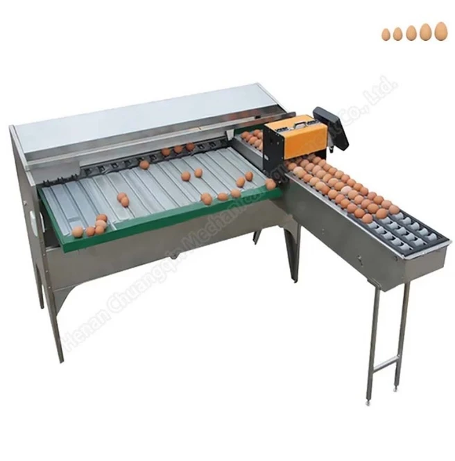 The Ultimate Solution for Egg Sorting: Egg Grading Machines