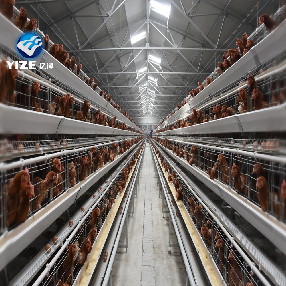 Elevate Poultry Farming with Quality Cages