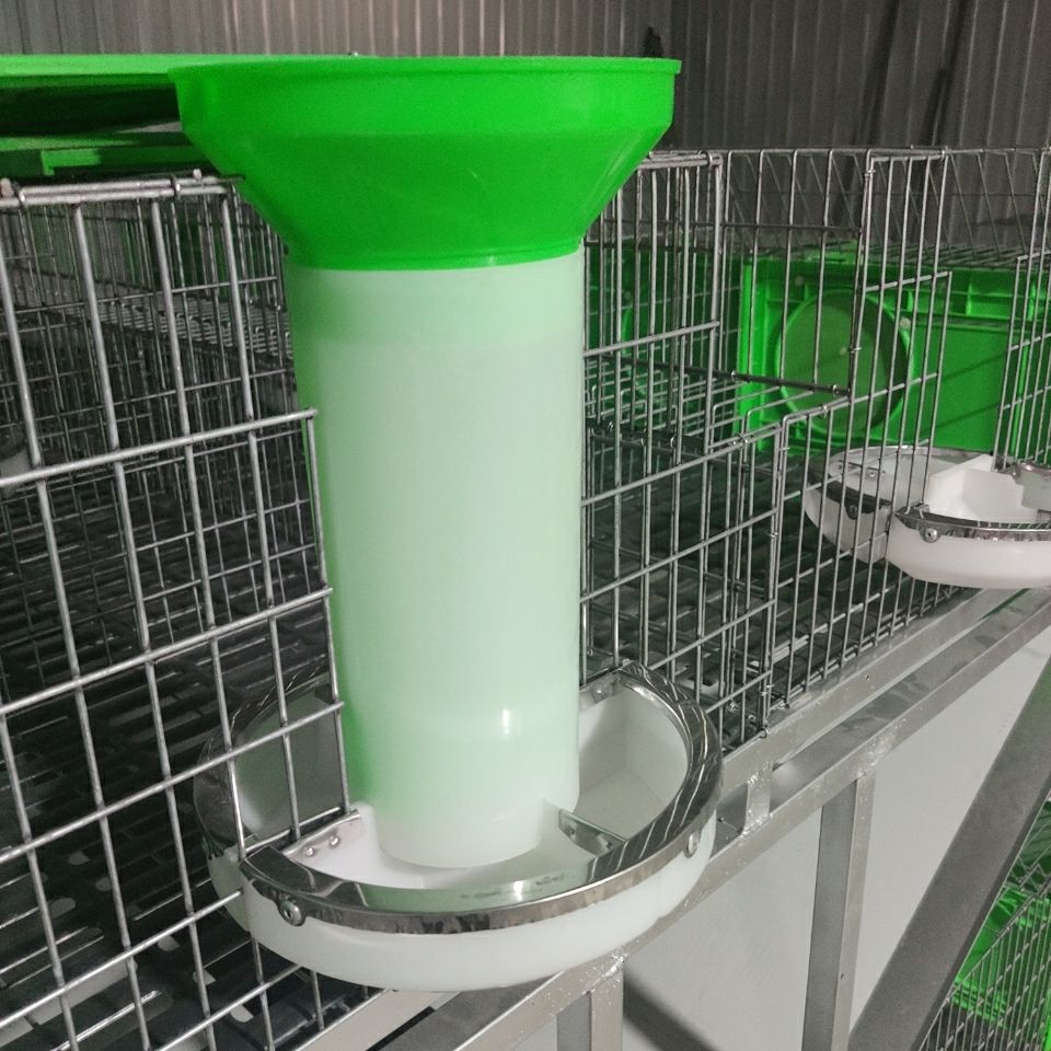 Rabbit breeding technology