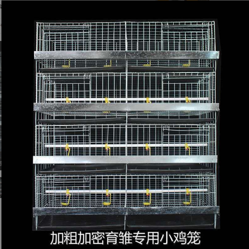 Máquina automática de fabricación de bandeja de huevo