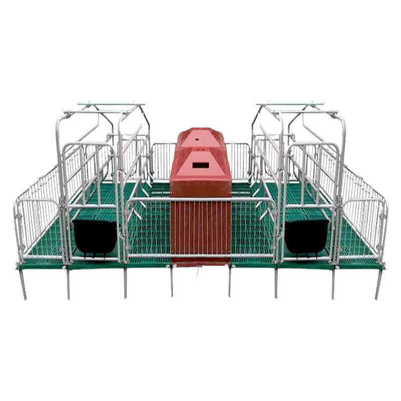 automatic machine for producing egg trays with high efficiency and productivity
