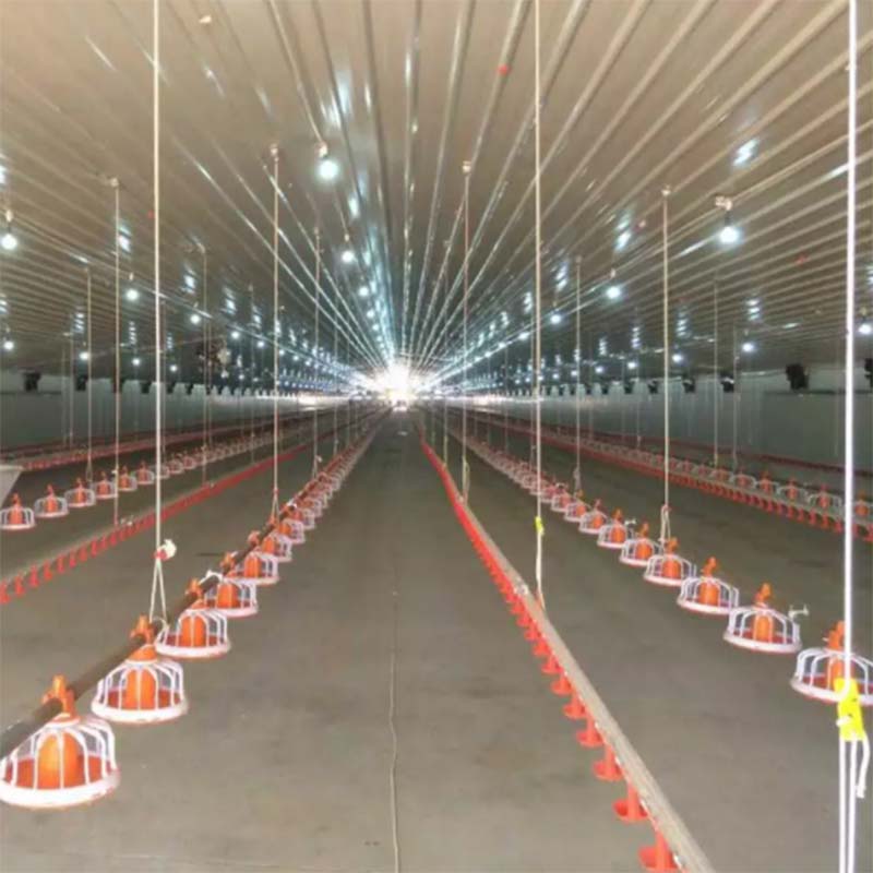 Automatic Feeding Line System Pan Feeder Nipple Drinker