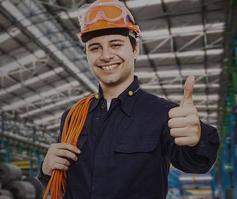 A Cozy Little Shelter for Small Pigs to Play and Rest Together in Harmony