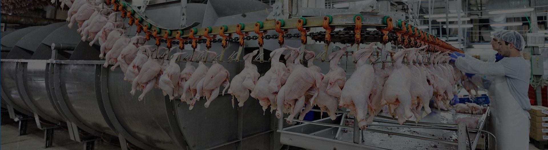 vertical feed mixers for sale