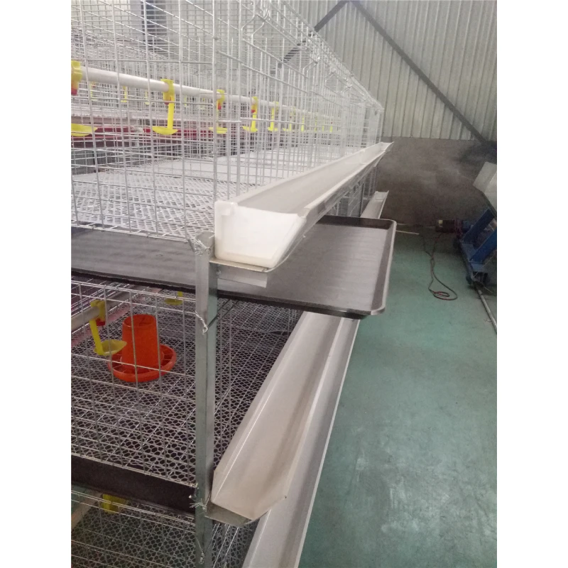 The Advantages of Broiler Cages for Your Poultry Farm