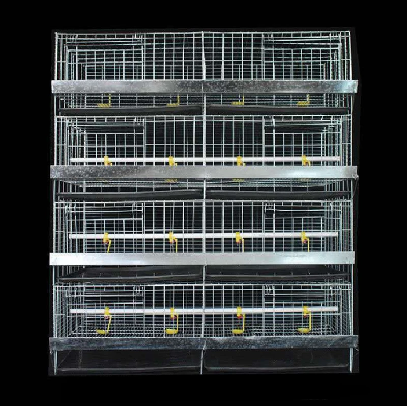 The application and importance of Poultry Cage in households