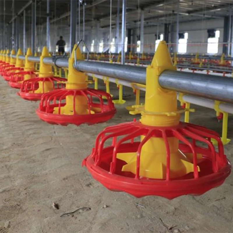 Right Poultry Cage for Optimal Performance