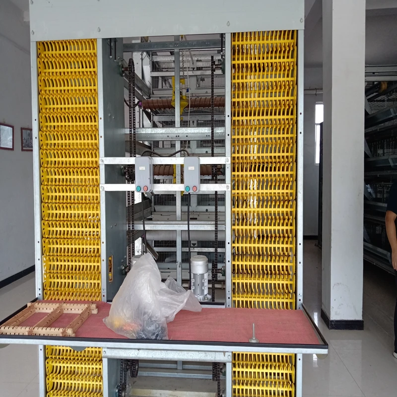 Tips for Maintaining Poultry Cages